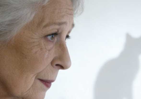 I was feeding my neighbor's cat when I found my medical records in her closet.