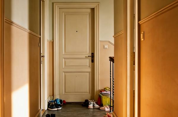 I was feeding my neighbor's cat when I found my medical records in her closet.